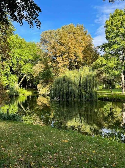 קמניץ Ein Gemuetlicher Platz Im Gruenderzeitviertel מראה חיצוני תמונה